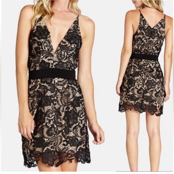 Dress the Population Black and Cream Lace Mini Dress - Picture 2 of 7